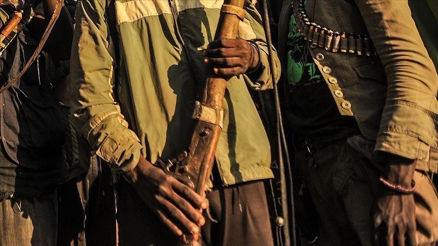 Wasu yan bindiga sun yi fashin raguna 11 daga wasu yan kasuwar Karamar Hukumar Ajingi a Nan Kano