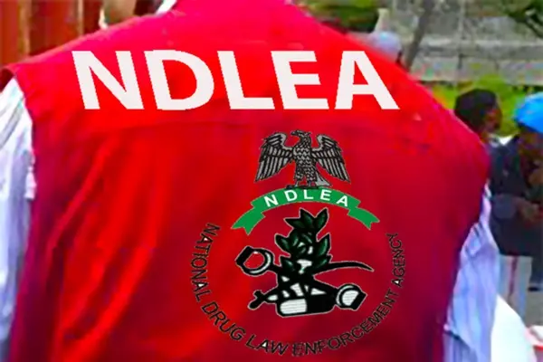 NDLEA Ta Daƙile Yunƙurin Safarar Hodar Iblis Zuwa China Da Italiya